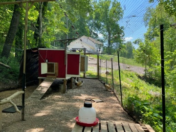 chicken enclosure