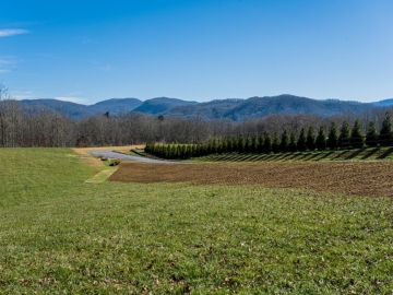 The-Farm-at-Cane-Creek-Fletcher-NC-43